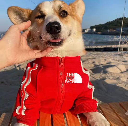 Dog Face Jacket