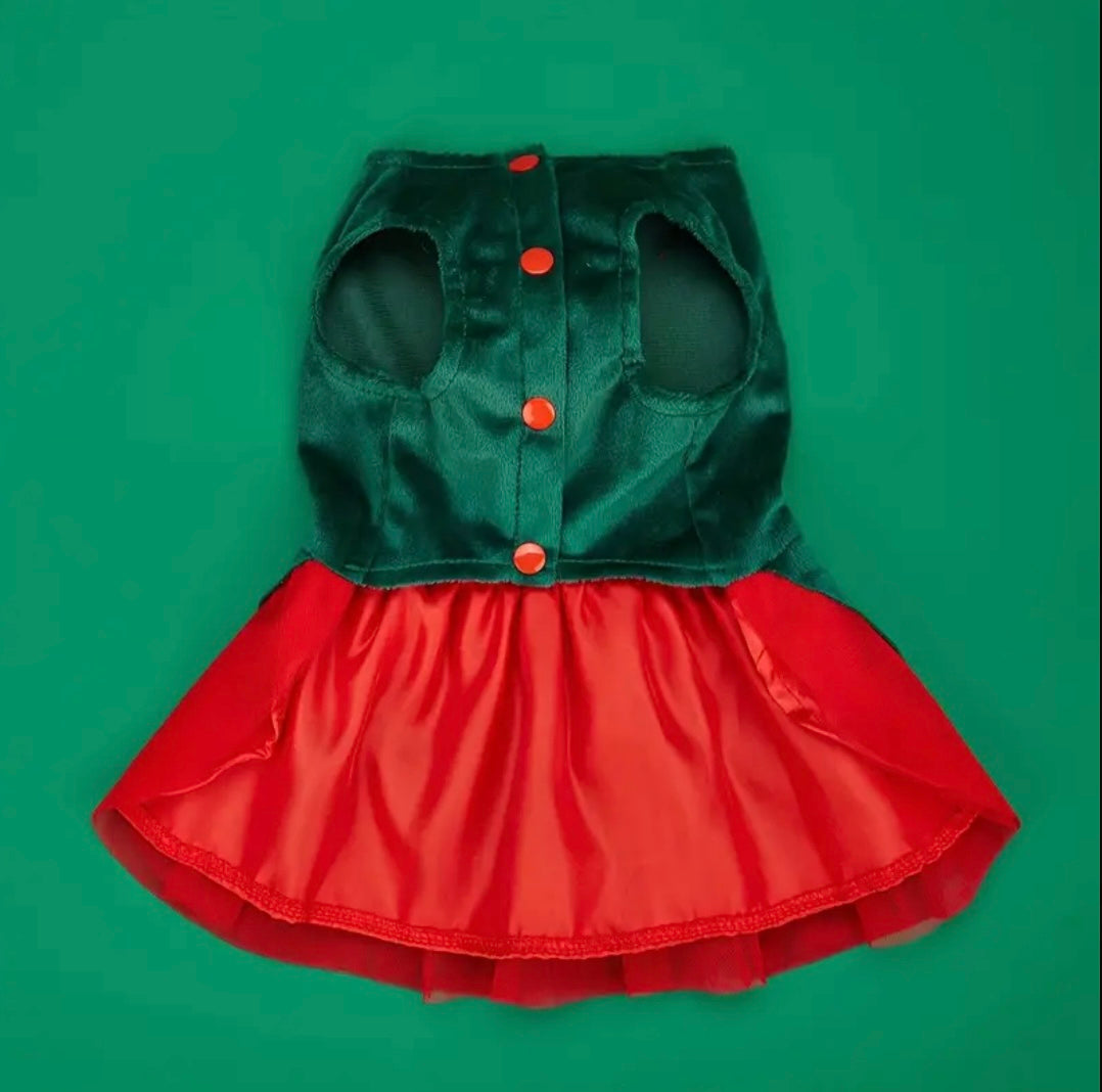 Holly Berry
