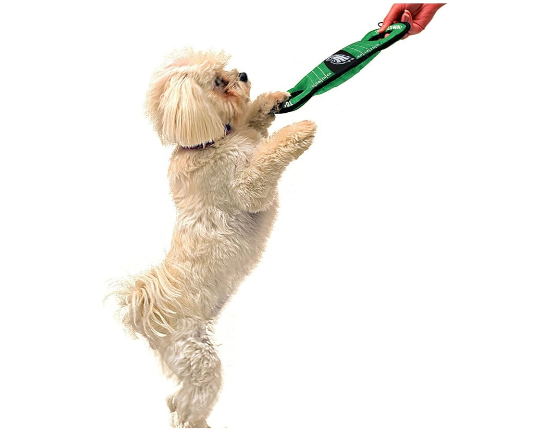 Tug Of War