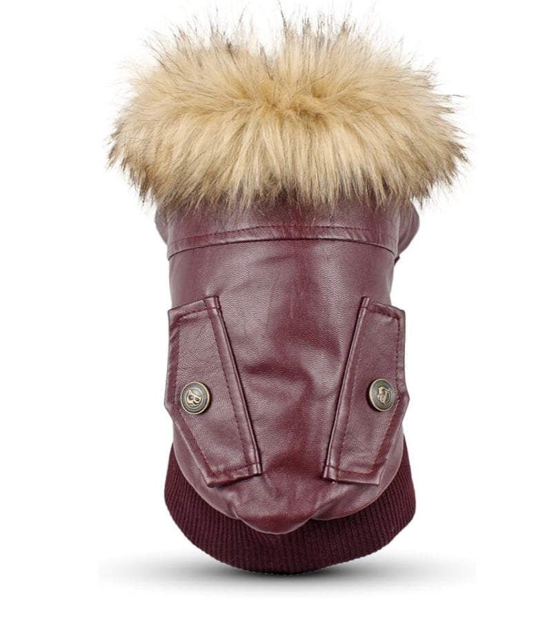 Fur Baby Moto