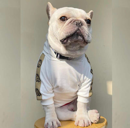 Pucci Hoodie