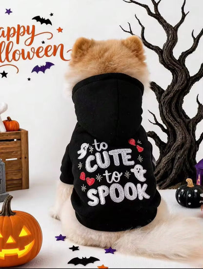 Flaunt it, Not Haunt it!!