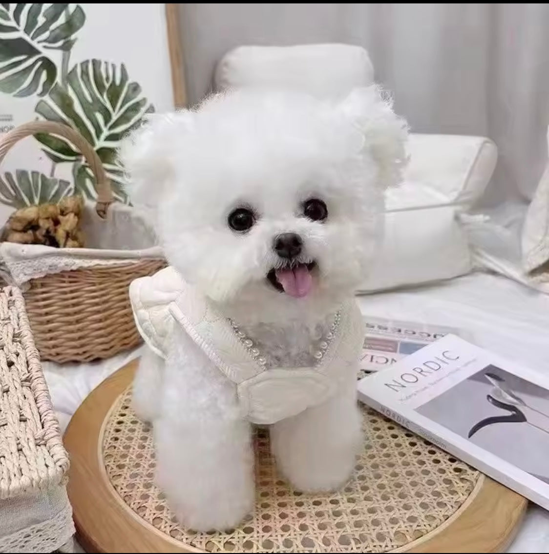 Our Lil’ Sweetheart