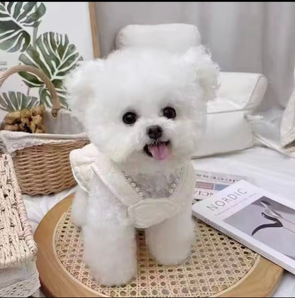 Our Lil’ Sweetheart