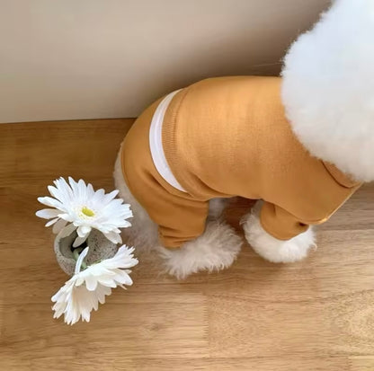 Pawsitively Soft Sweatsuit