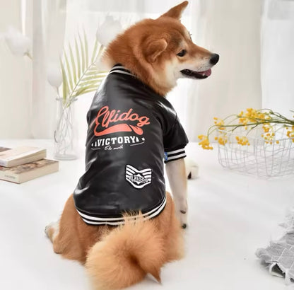 Varsity Jacket