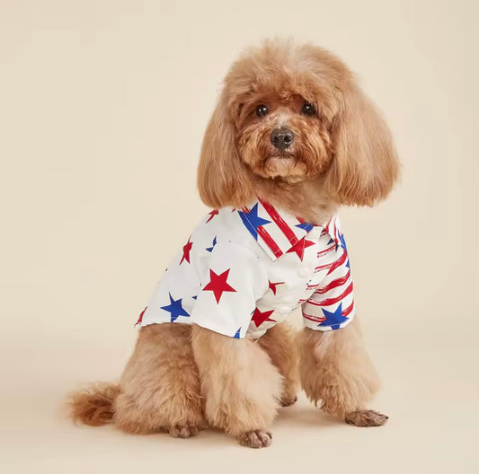 America