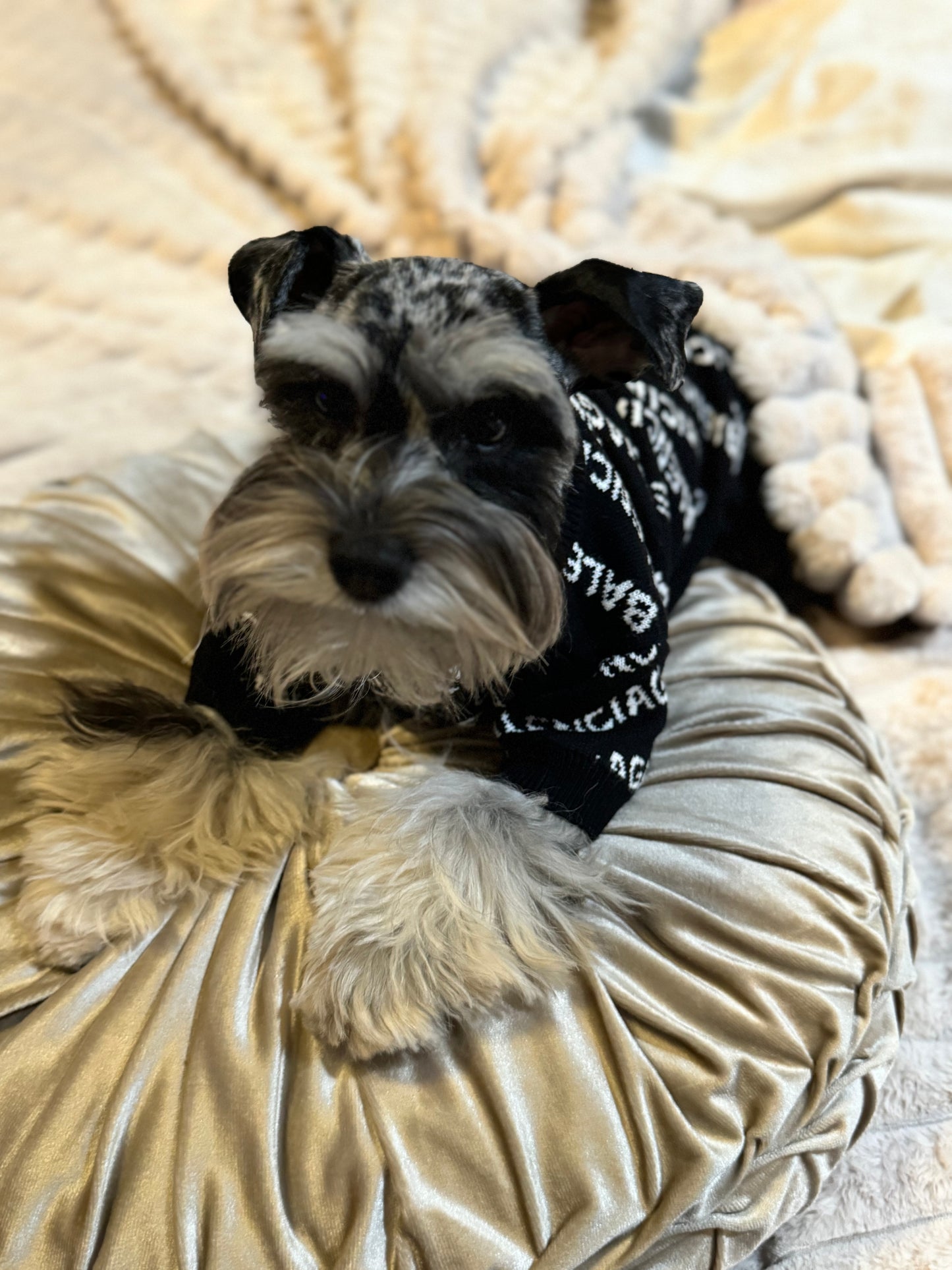 Pawlenci Sweater
