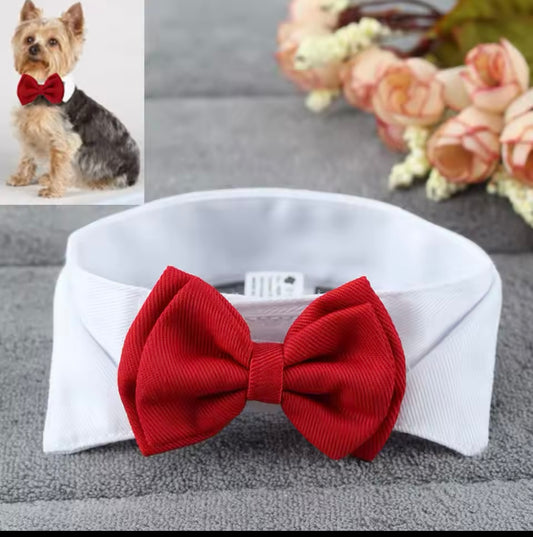 Classy Bow Tie