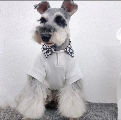 Pawdior Colour