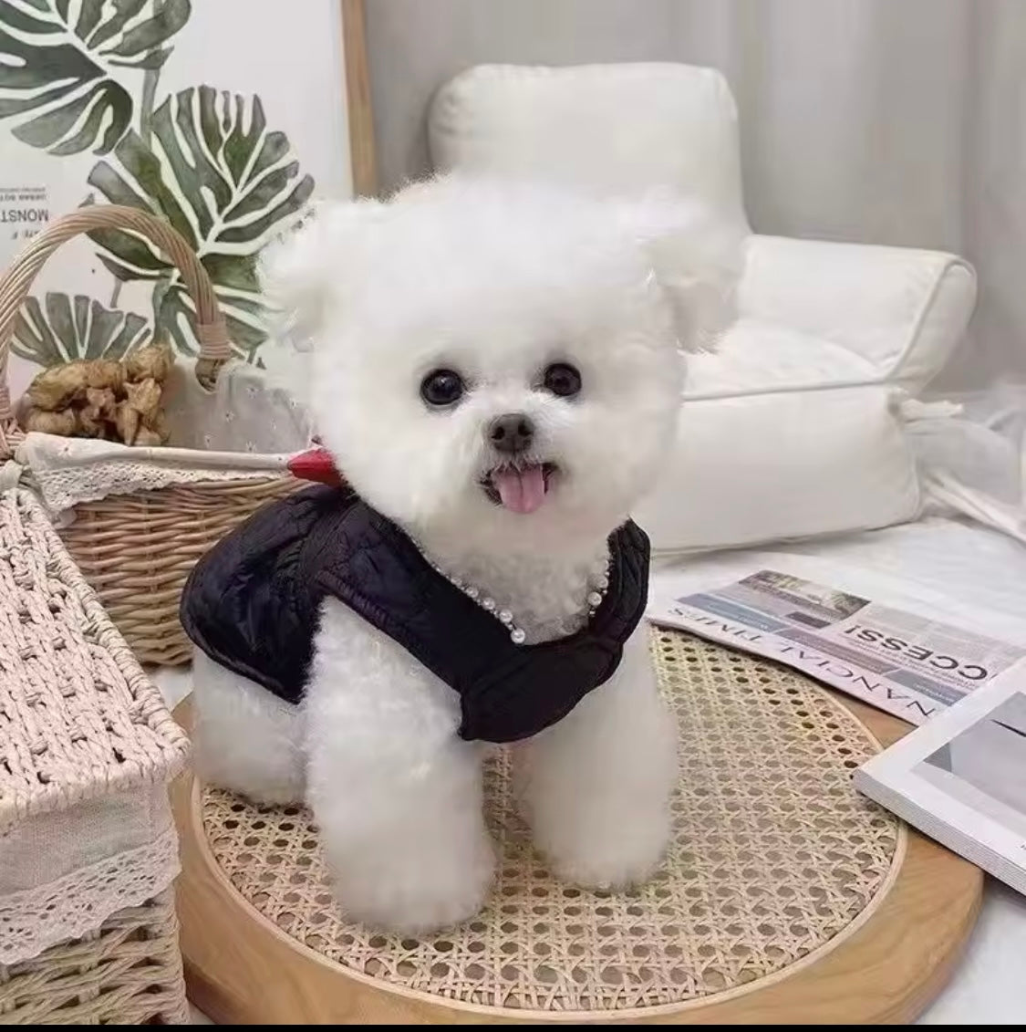 Our Lil’ Sweetheart