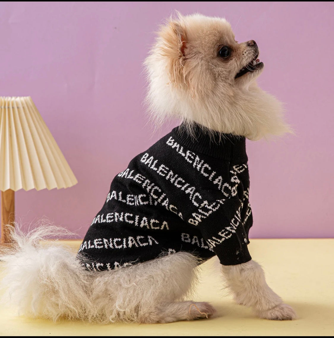 Pawlenci Sweater