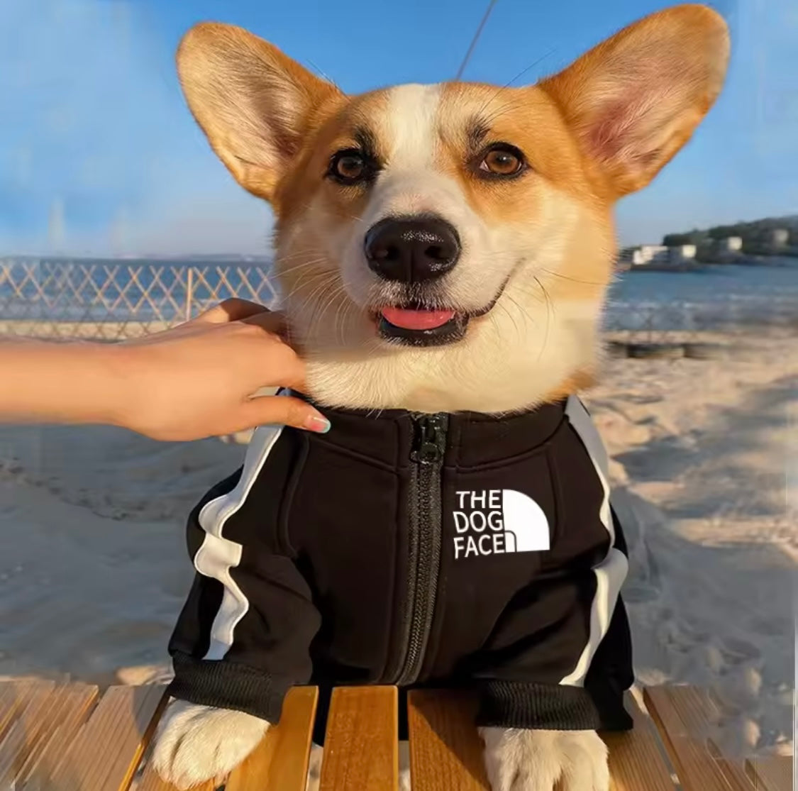 Dog Face Jacket