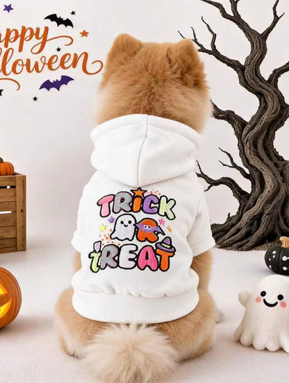 Flaunt it, Not Haunt it!!