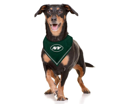 Football FurNatics