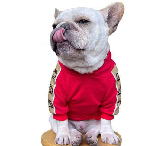 Pucci Hoodie
