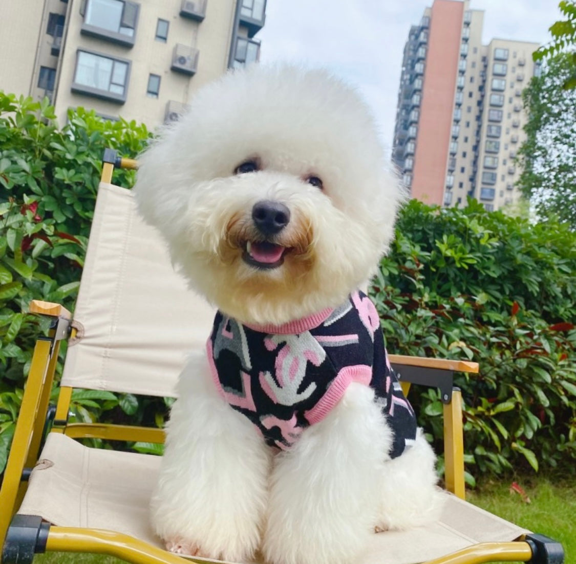 I’m in Love with Coco