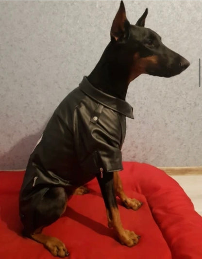 Big Boy Ruff Rider Moto