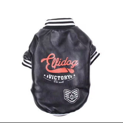 Jr. Varsity Jacket