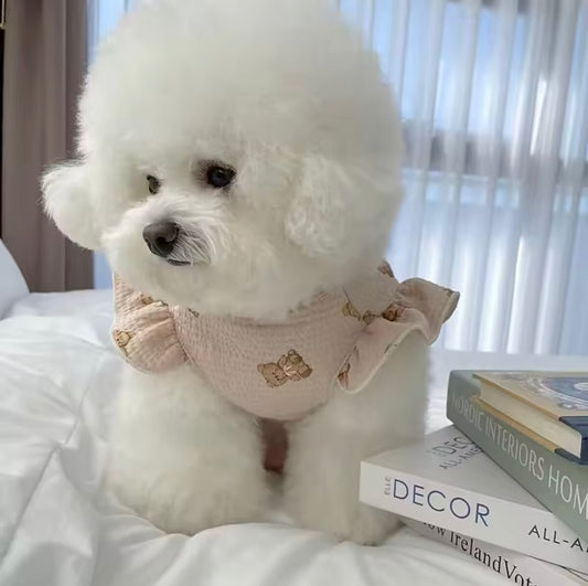 Teddy Love