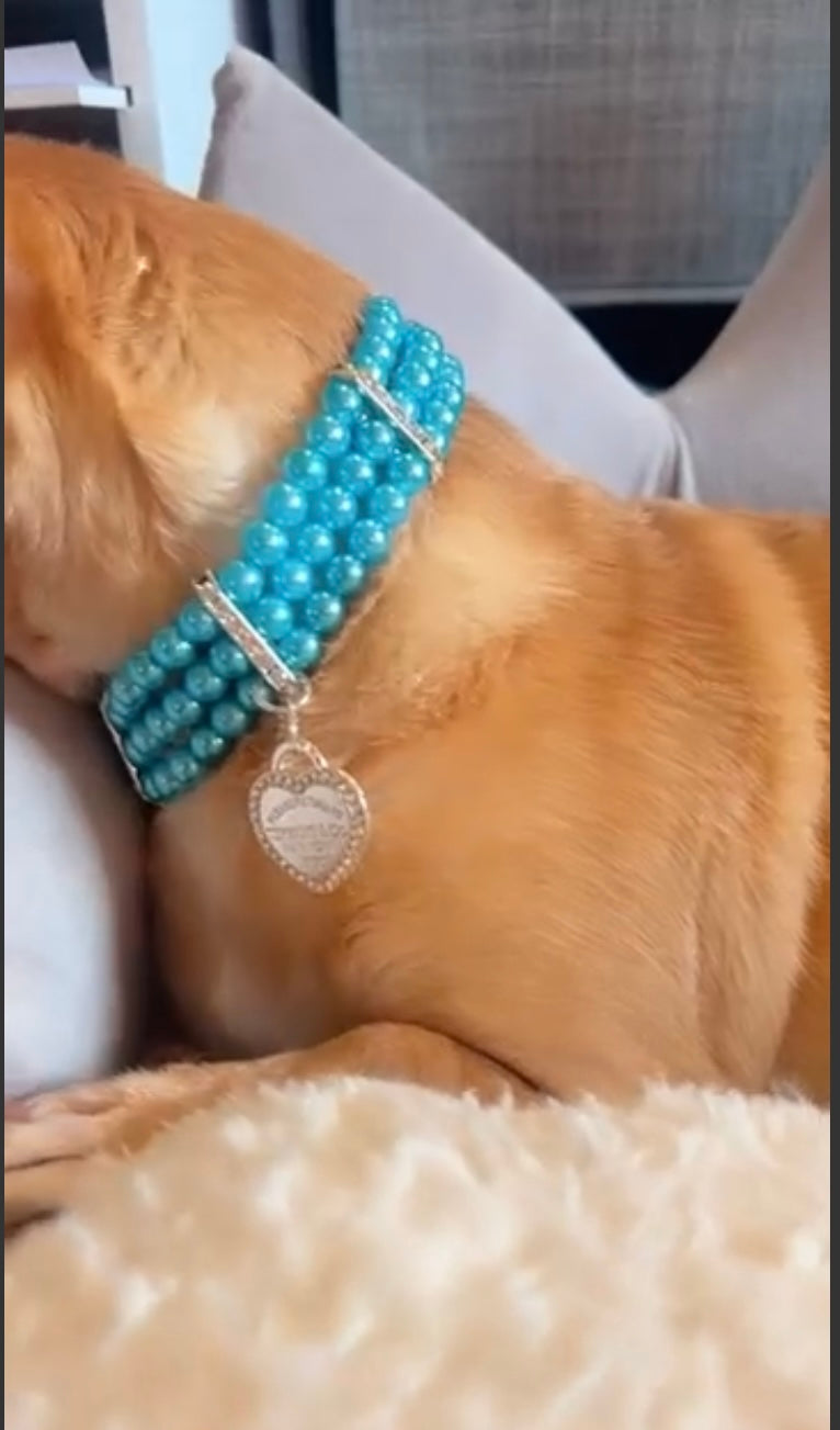 SniffPAWney Choker