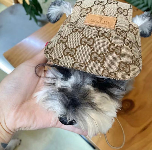 Pucci Visor