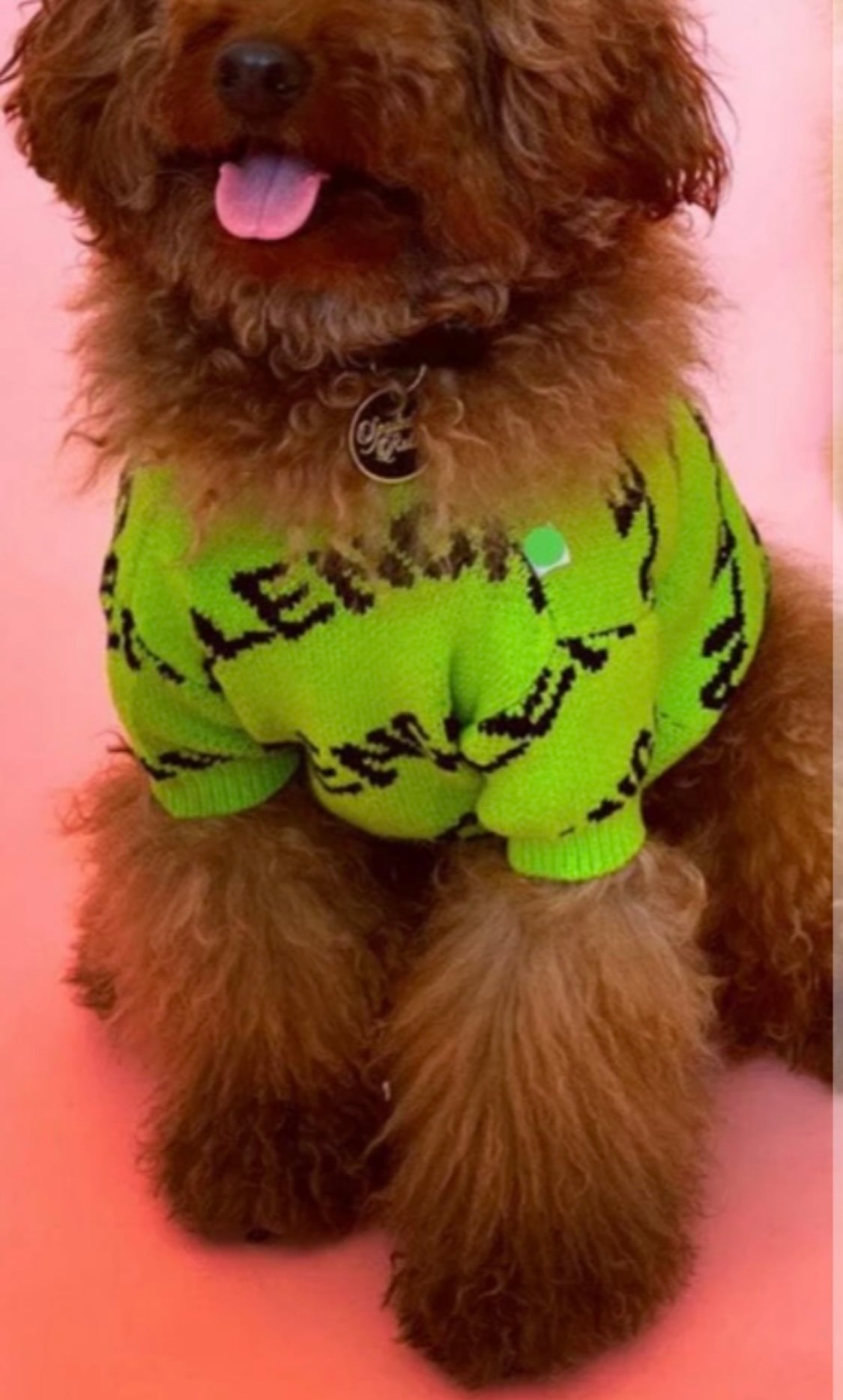 Big Dawg Pawlenci Lux Sweater