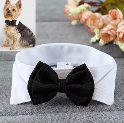 Classy Bow Tie