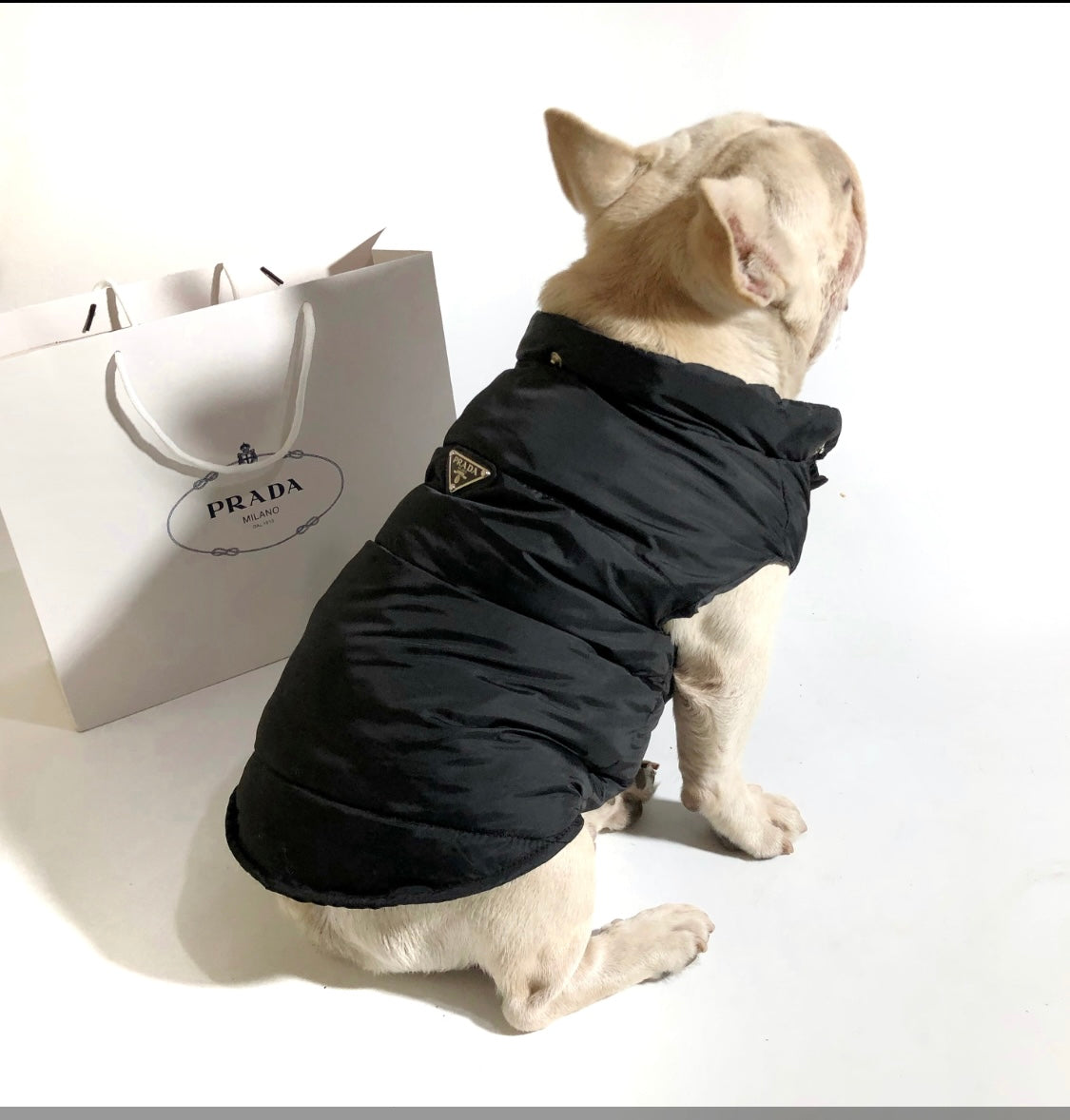 Pawdi Puffer Vest w/Hood