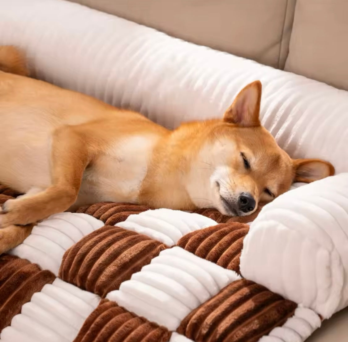 Couch Pet Cover