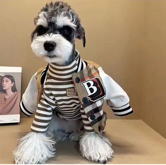 Barkberry Letterman Jacket