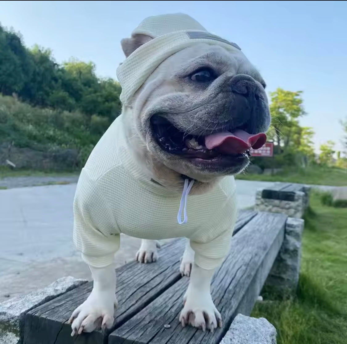 Chillin’