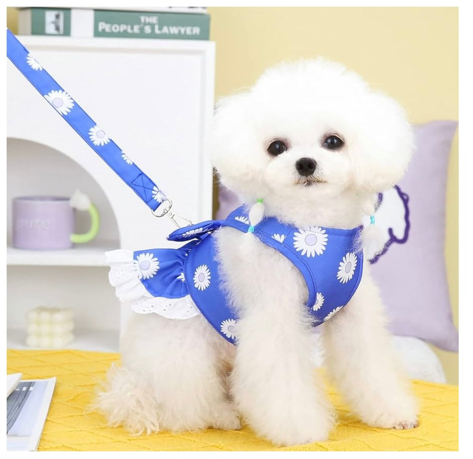 Harness’D