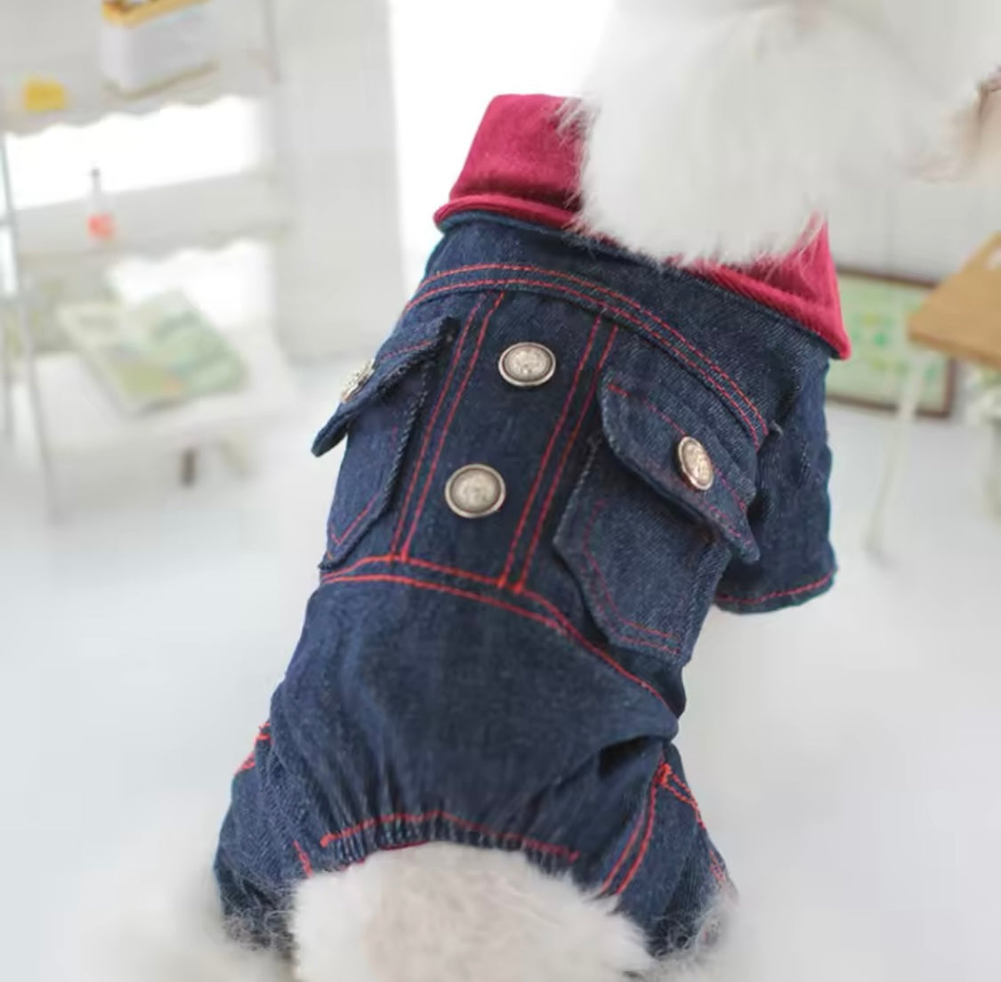 Pawsitively Denim