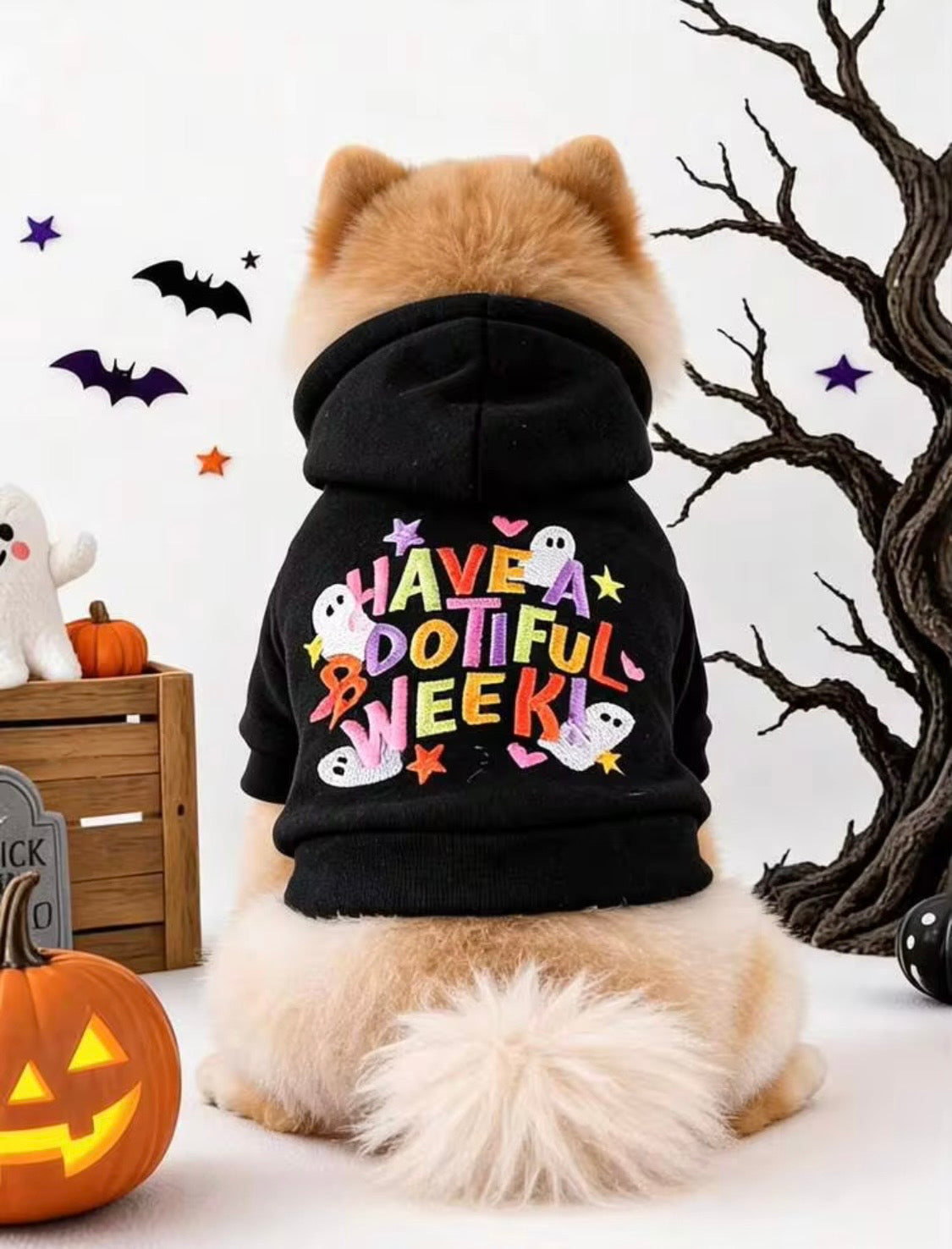 Flaunt it, Not Haunt it!!