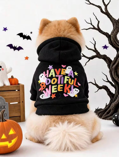 Flaunt it, Not Haunt it!!