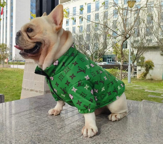 Don’t Forget About Lewie