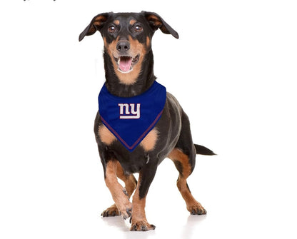 Football FurNatics