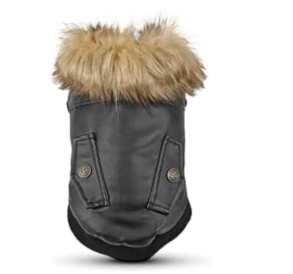 Fur Baby Moto
