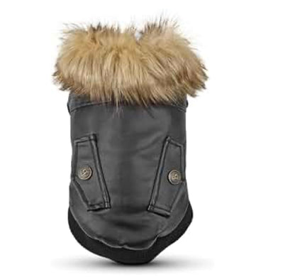 Fur Baby Moto