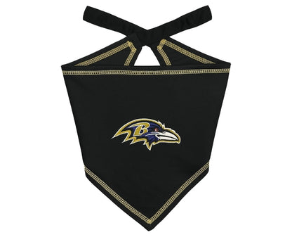 Football FurNatics
